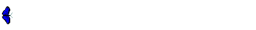 BTRFLY03.GIF (9013 bytes)